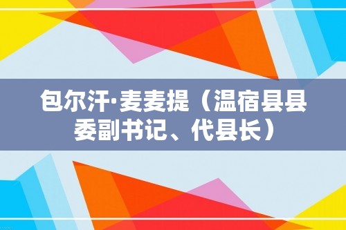 包尔汗·麦麦提（温宿县县委副书记、代县长）