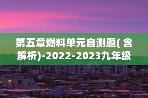 第五章燃料单元自测题( 含解析)-2022-2023九年级化学科粤版上册