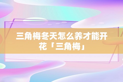 三角梅冬天怎么养才能开花「三角梅」