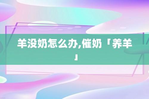 羊没奶怎么办,催奶「养羊」