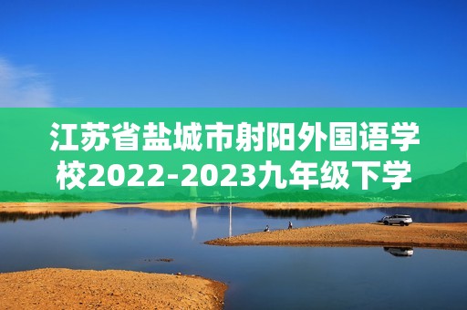 江苏省盐城市射阳外国语学校2022-2023九年级下学期期中历史试题（答案）