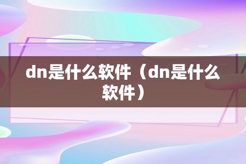 dn是什么软件（dn是什么软件）