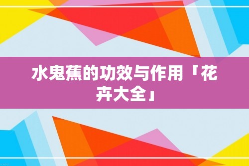 水鬼蕉的功效与作用「花卉大全」