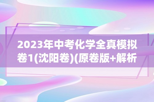 2023年中考化学全真模拟卷1(沈阳卷)(原卷版+解析版)