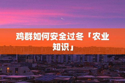 鸡群如何安全过冬「农业知识」