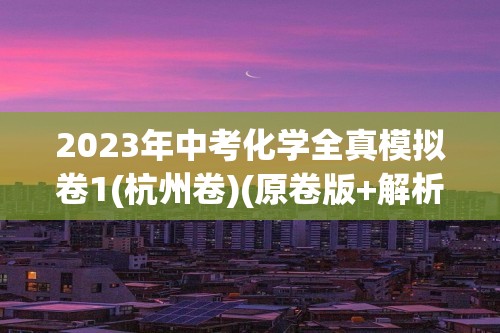 2023年中考化学全真模拟卷1(杭州卷)(原卷版+解析版)