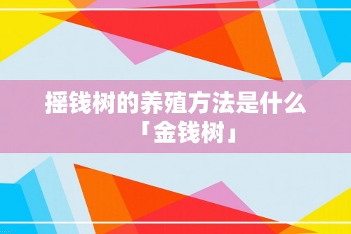 摇钱树的养殖方法是什么「金钱树」