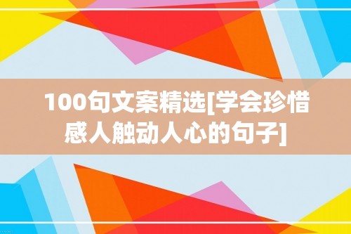 100句文案精选[学会珍惜感人触动人心的句子]