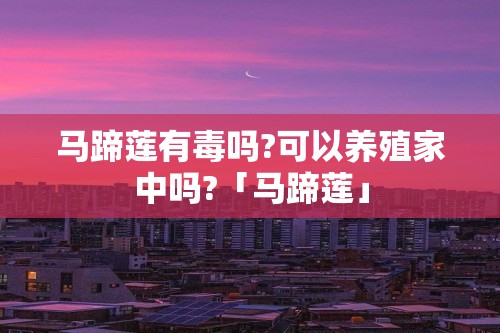 马蹄莲有毒吗?可以养殖家中吗?「马蹄莲」