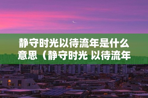 静守时光以待流年是什么意思（静守时光 以待流年的意思）