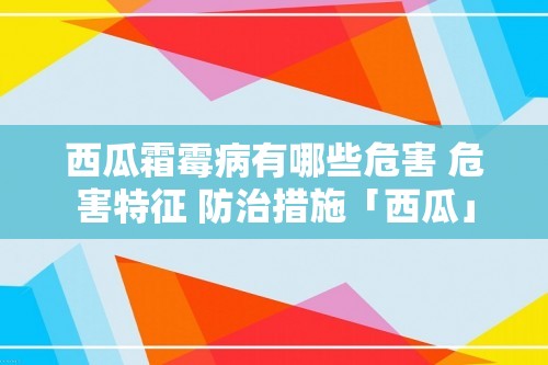 西瓜霜霉病有哪些危害 危害特征 防治措施「西瓜」