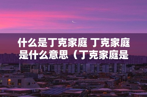 什么是丁克家庭 丁克家庭是什么意思（丁克家庭是什么意思）