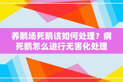 养鹅场死鹅该如何处理？病死鹅怎么进行无害化处理「养鹅」