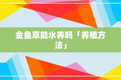 金鱼草能水养吗「养殖方法」