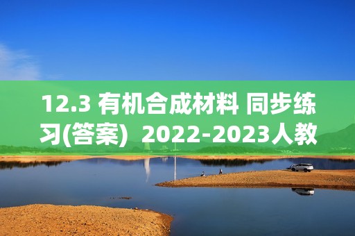 12.3 有机合成材料 同步练习(答案)  2022-2023人教版九年级下册化学