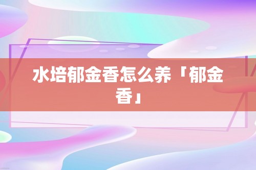 水培郁金香怎么养「郁金香」