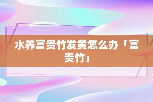 水养富贵竹发黄怎么办「富贵竹」