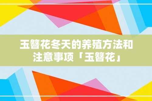 玉簪花冬天的养殖方法和注意事项「玉簪花」