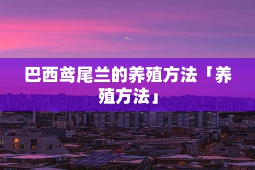 巴西鸢尾兰的养殖方法「养殖方法」