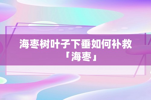 海枣树叶子下垂如何补救「海枣」