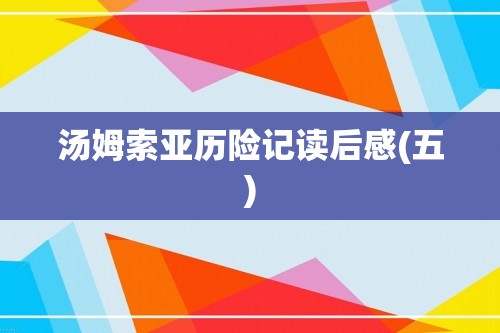 汤姆索亚历险记读后感(五)