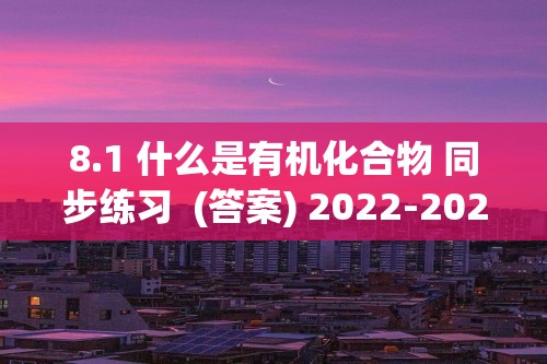 8.1 什么是有机化合物 同步练习  (答案) 2022-2023沪教版（全国）九年级下册化学