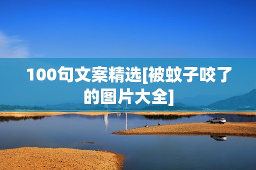 100句文案精选[被蚊子咬了的图片大全]