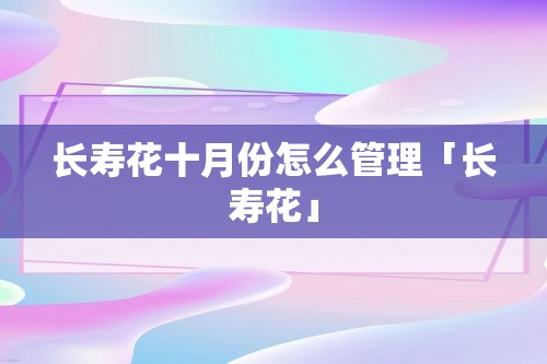 长寿花十月份怎么管理「长寿花」