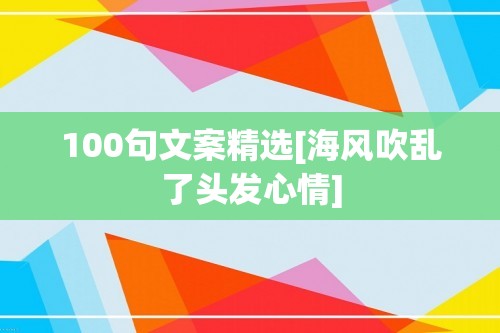 100句文案精选[海风吹乱了头发心情]