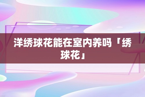 洋绣球花能在室内养吗「绣球花」