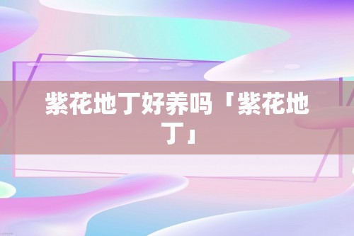 紫花地丁好养吗「紫花地丁」