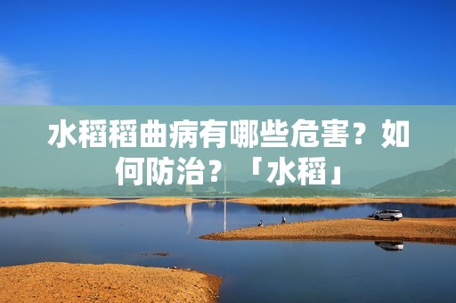 水稻稻曲病有哪些危害？如何防治？「水稻」