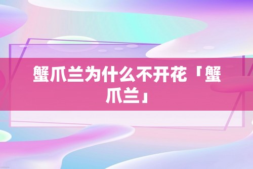 蟹爪兰为什么不开花「蟹爪兰」