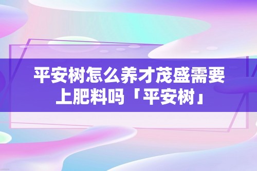 平安树怎么养才茂盛需要上肥料吗「平安树」