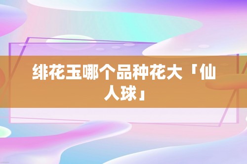 绯花玉哪个品种花大「仙人球」