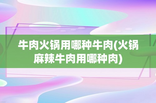 牛肉火锅用哪种牛肉(火锅麻辣牛肉用哪种肉)