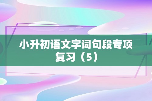 小升初语文字词句段专项复习（5）