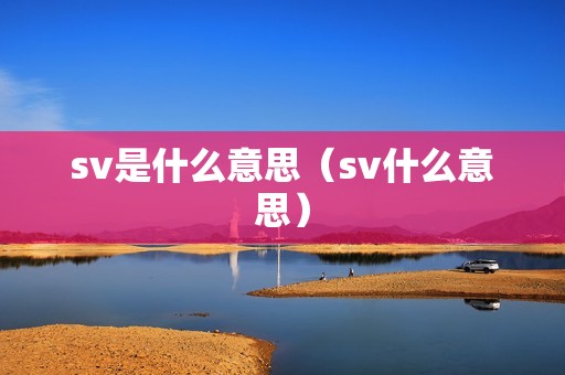 sv是什么意思（sv什么意思）