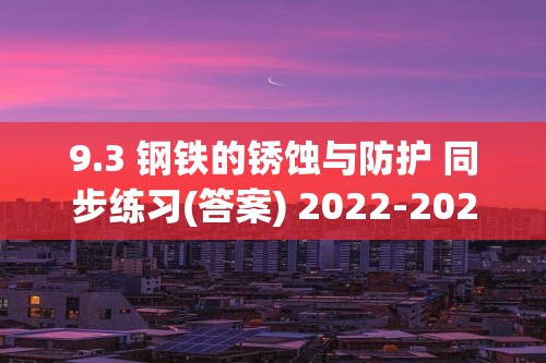 9.3 钢铁的锈蚀与防护 同步练习(答案) 2022-2023鲁教版九年级下册化学