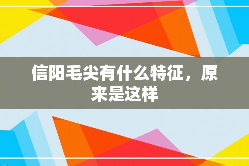 信阳毛尖有什么特征，原来是这样