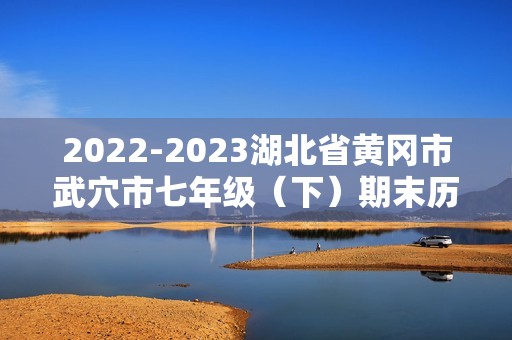 2022-2023湖北省黄冈市武穴市七年级（下）期末历史试卷（含解析）