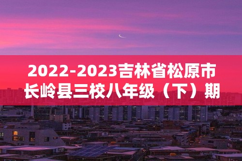 2022-2023吉林省松原市长岭县三校八年级（下）期中历史试卷（含解析）