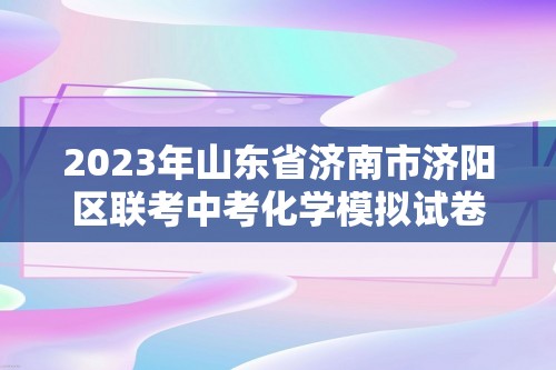 2023年山东省济南市济阳区联考中考化学模拟试卷（二）（含解析）