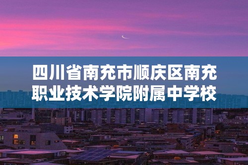 四川省南充市顺庆区南充职业技术学院附属中学校2023年中考模拟化学试题