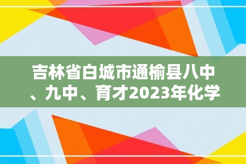 吉林省白城市通榆县八中、九中、育才2023年化学中考模拟试题