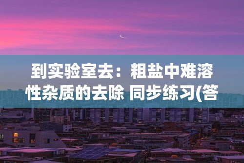 到实验室去：粗盐中难溶性杂质的去除 同步练习(答案) 2022-2023鲁教版九年级下册化学