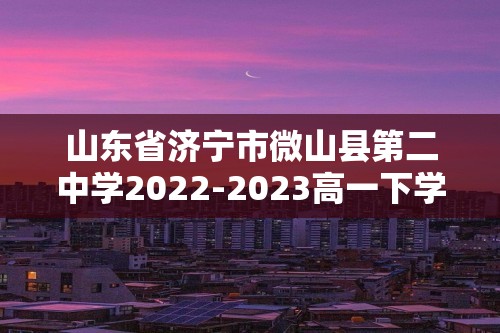 山东省济宁市微山县第二中学2022-2023高一下学期3月月考化学试题（答案）