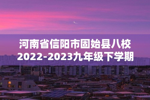 河南省信阳市固始县八校2022-2023九年级下学期3月联考化学试题（含解析）