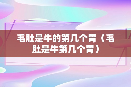 毛肚是牛的第几个胃（毛肚是牛第几个胃）