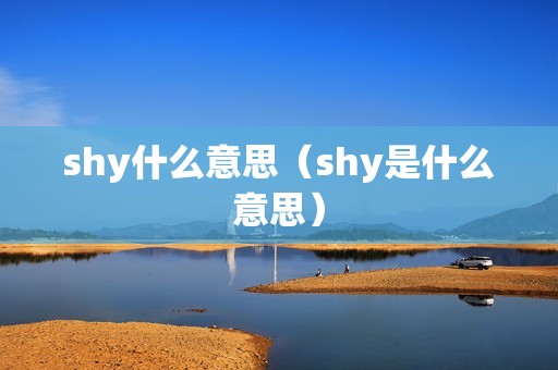 shy什么意思（shy是什么意思）